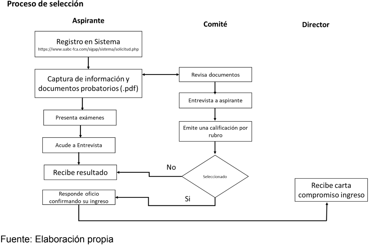 Proceso de selección